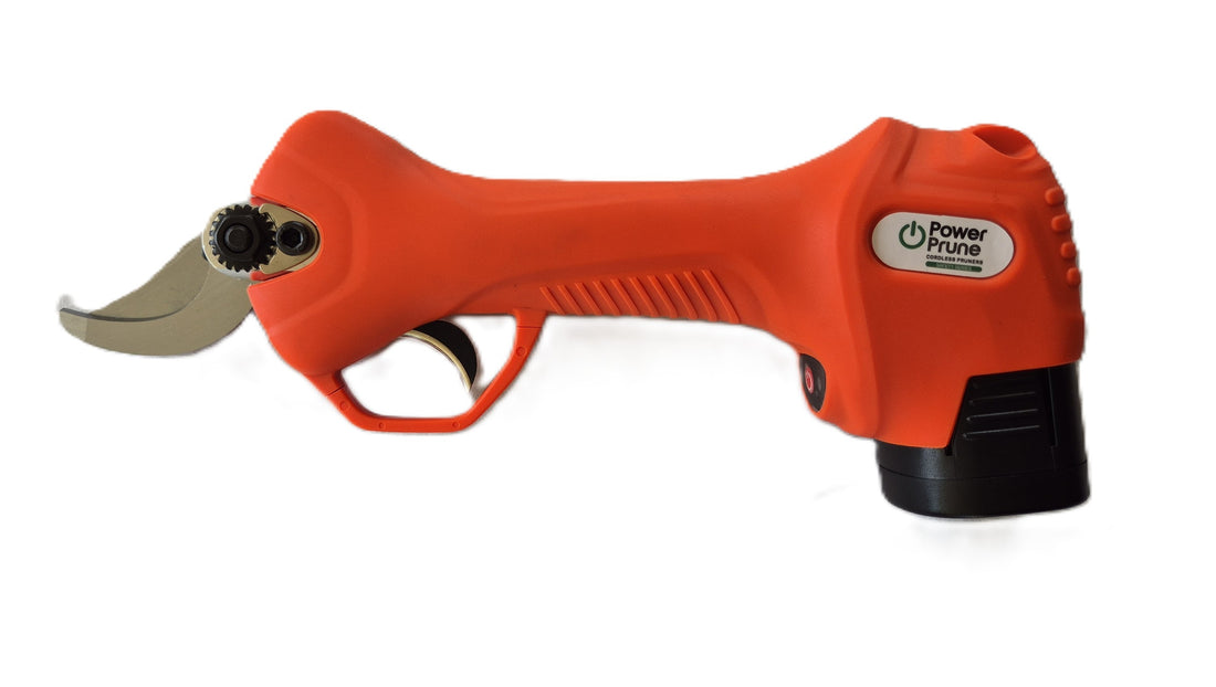 PowerPrune Safety Series 28 - Includes 2 x 2Ah batteries