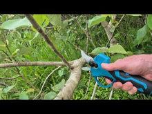 Load and play video in Gallery viewer, PowerPrune Elite 3 in 1 Combo - Includes 2 x 2Ah batteries