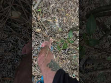 Load and play video in Gallery viewer, PowerPrune Pro 3 in 1 Combo - Includes 2 x 2Ah batteries