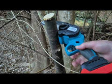 Load and play video in Gallery viewer, PowerPrune Adjustable Extension Pole 200cm