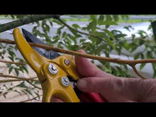 Load and play video in Gallery viewer, MK4 Ratchet Secateurs Red Grip
