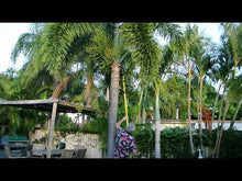 Load and play video in Gallery viewer, 6m Telescopic Fibreglass Extension Pole