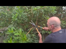 Load and play video in Gallery viewer, Japanese Hedge Shears 180mm Blade – Short Handle