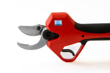 Load image into Gallery viewer, PowerPrune Pro Max Kit - Includes 2 x 4Ah batteries
