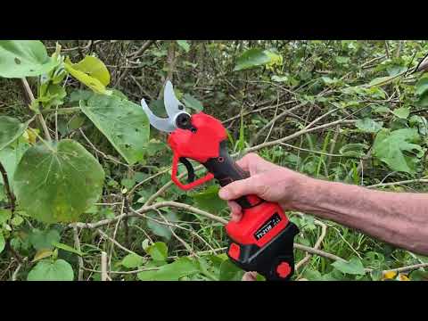 PowerPrune Pro Kit - Includes 2 x 2Ah batteries – Winland Home & Garden